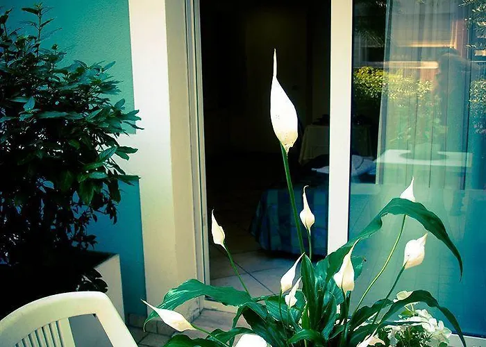 Aparthotel Riviera 3*